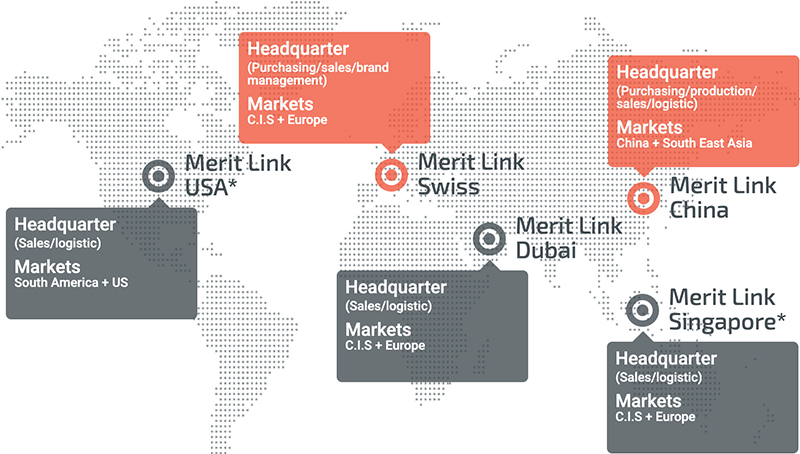 Международная группа Merit Link Международная группа Merit Link